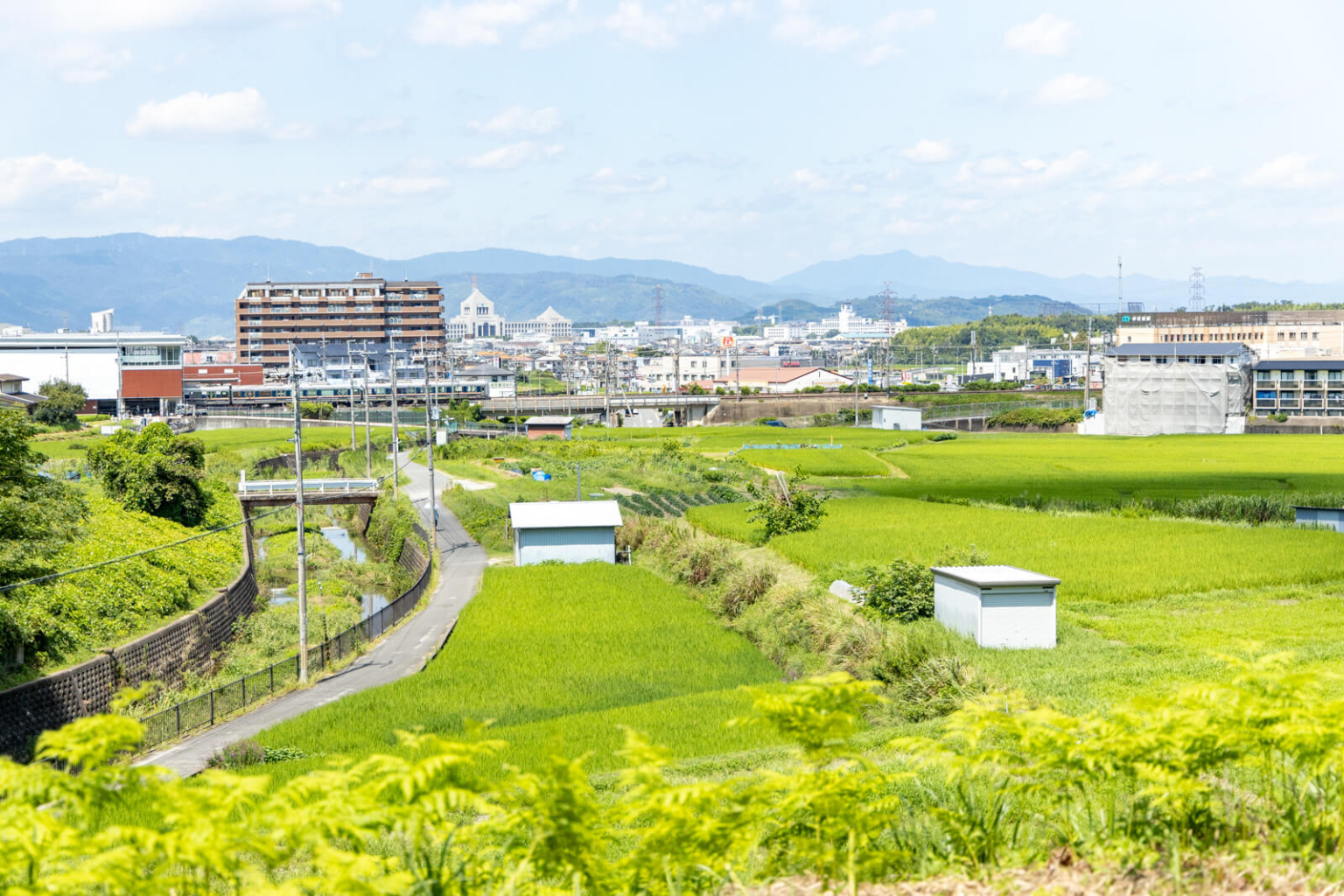 ひらいろ読者に聞きました！「わたしの好きな枚方市内のウォーキング・お散歩コース」【ひらいろアンケート】 | 大阪府枚方市の観光情報誌『ひらいろ』