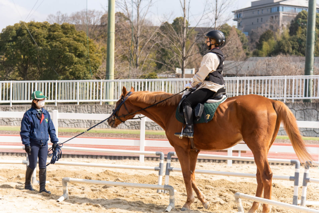 今日から乗馬という新しい趣味を！乗馬クラブ クレインが枚方にオープン【体験レポ】 | 大阪府枚方市の観光情報誌『ひらいろ』