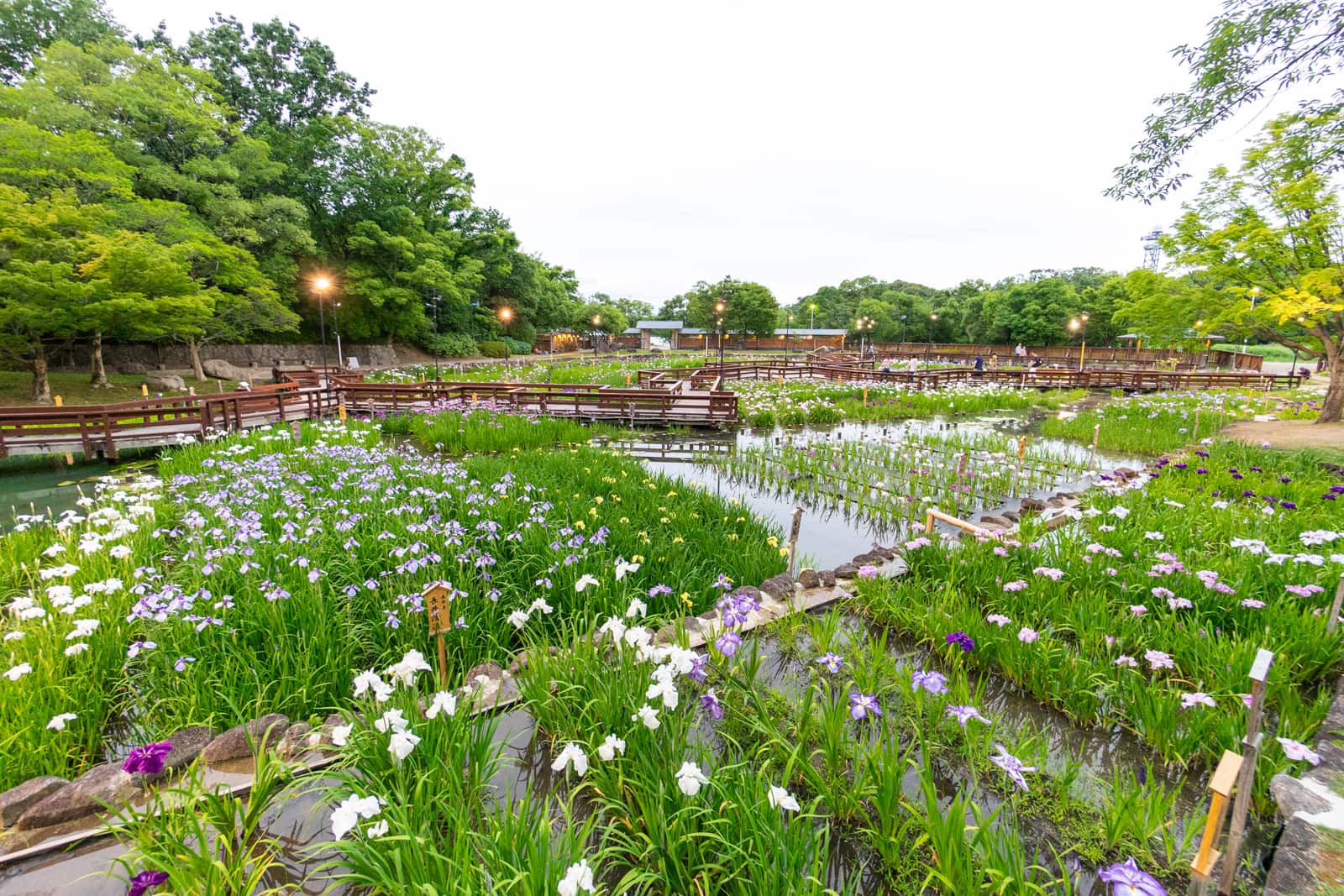 ひらいろ読者に聞いてみた「枚方市内の好きな景色・風景・絶景スポット」はどこ？【ひらいろアンケート】 | 大阪府枚方市の観光情報誌『ひらいろ』