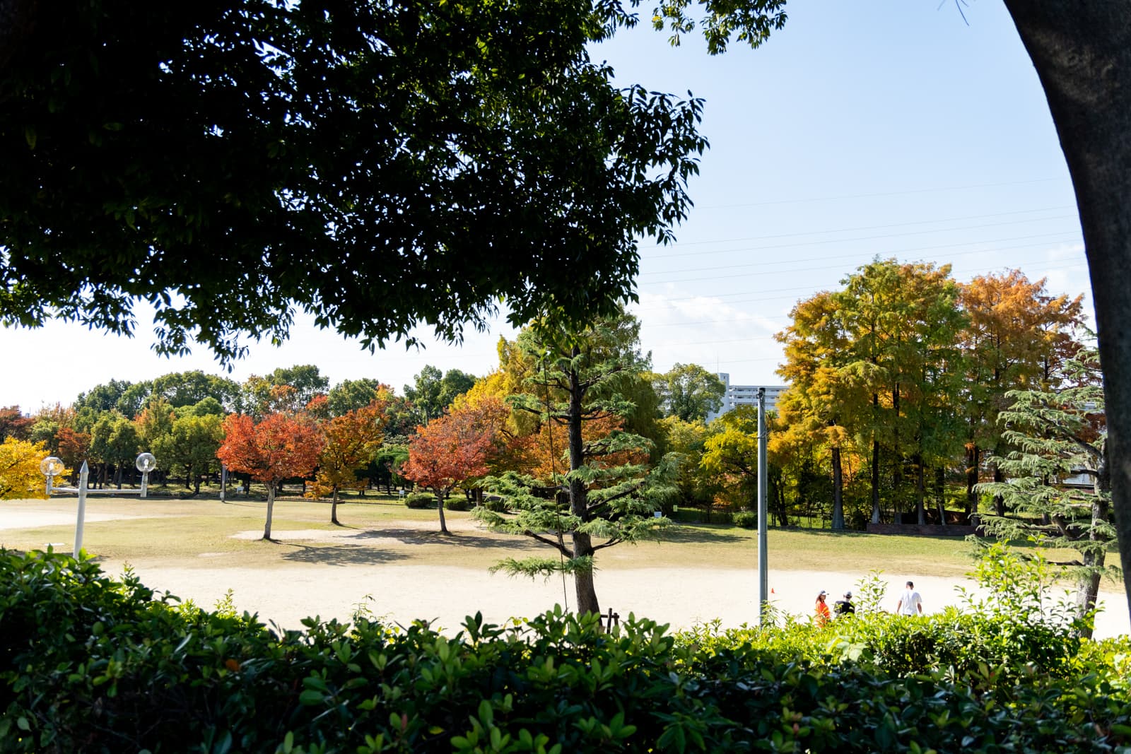 この秋には見ておきたい！定番から隠れスポットまで。大阪府枚方市内の秋の紅葉スポット10選【枚方まとめ】 | 大阪府枚方市の観光情報誌『ひらいろ』