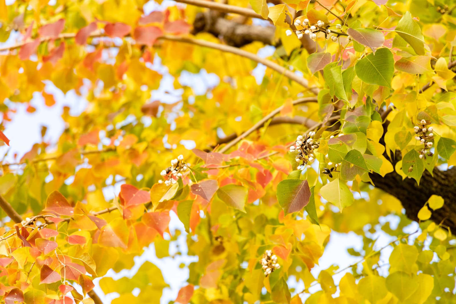 定番から隠れスポットまで。