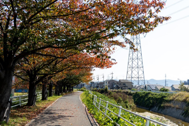 この秋には見ておきたい！定番から隠れスポットまで。大阪府枚方市内の秋の紅葉スポット10選【枚方まとめ】 | 大阪府枚方市の観光情報誌『ひらいろ』