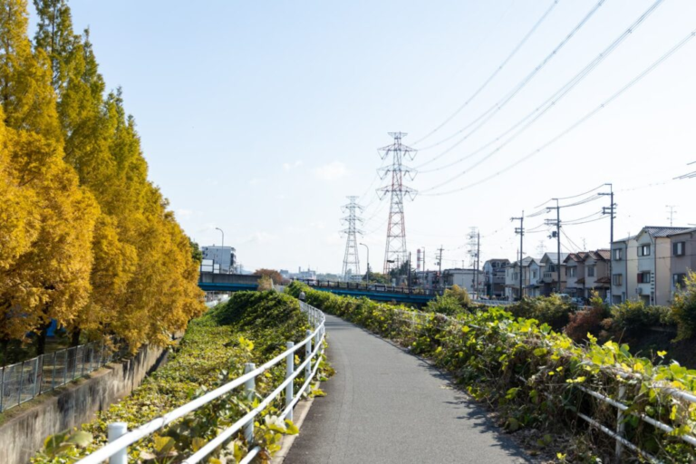 この秋には見ておきたい！定番から隠れスポットまで。大阪府枚方市内の秋の紅葉スポット10選【枚方まとめ】 | 大阪府枚方市の観光情報誌『ひらいろ』