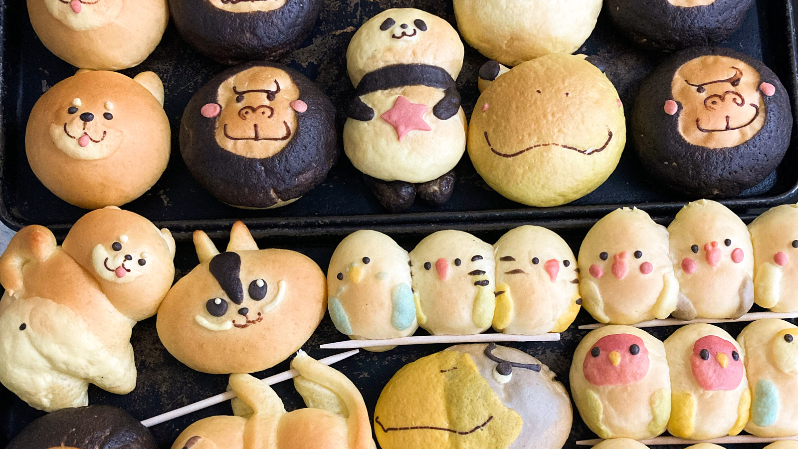 9/30(土)・10/1(日)@くずはモール