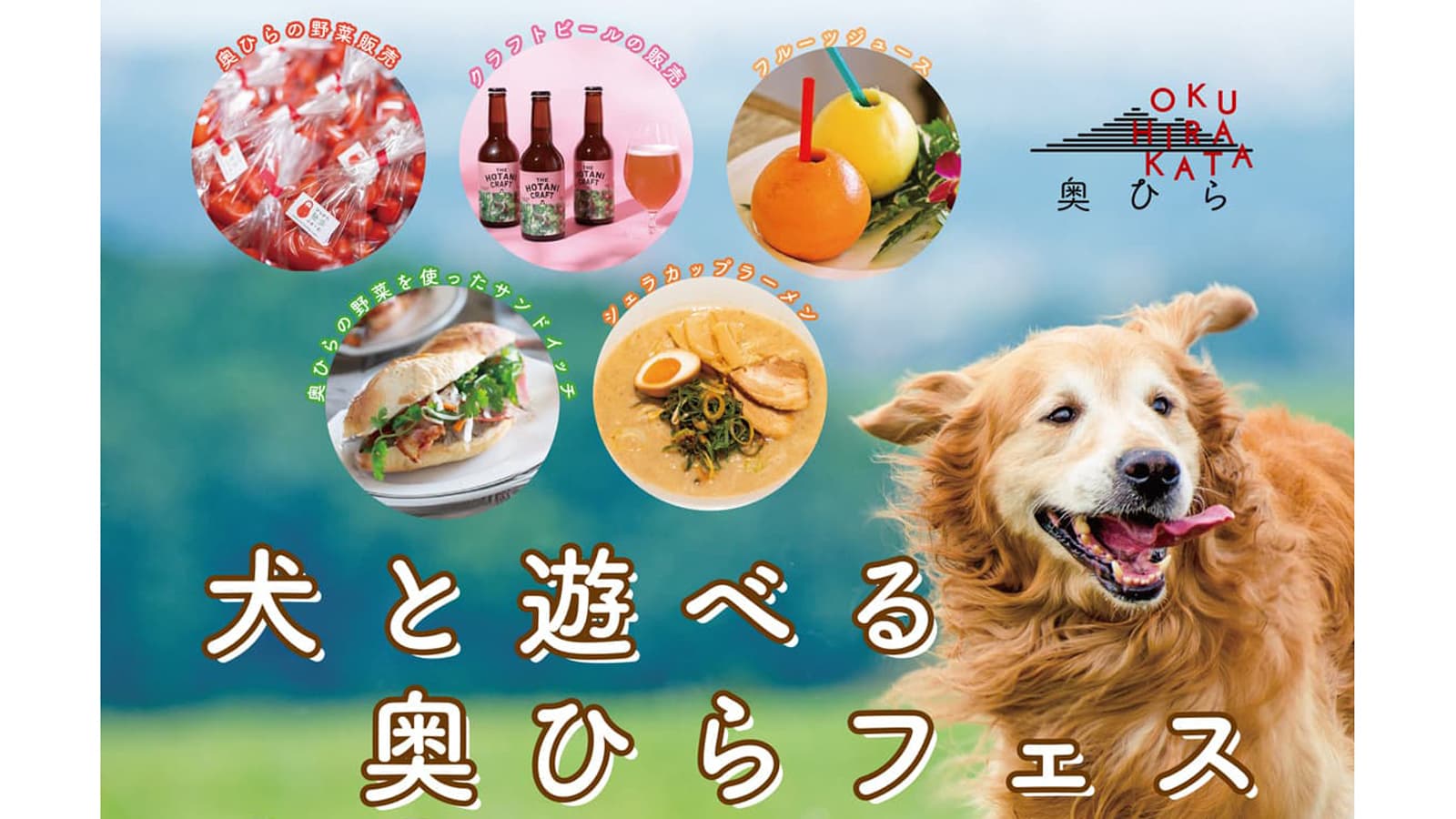 自然の中でワンちゃんと一緒に遊べる「犬と遊べる奥ひらフェス