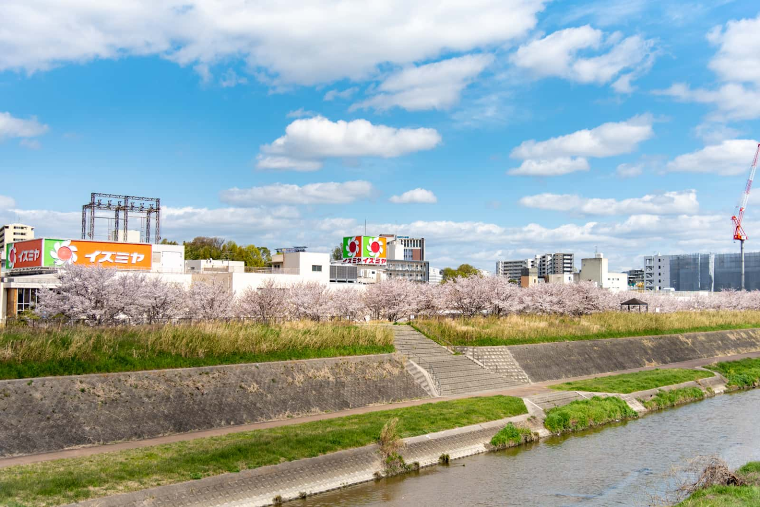 イベント | 大阪府枚方市の観光情報誌『ひらいろ』