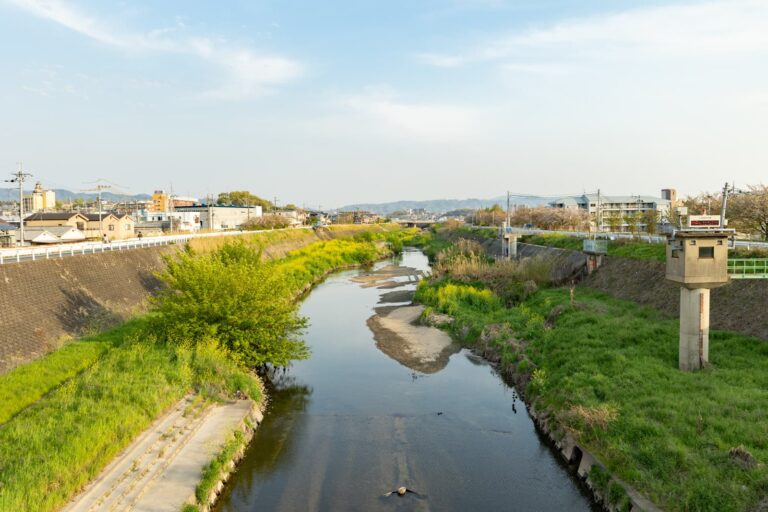 七夕伝説ゆかりのまち・大阪枚方の七夕スポットを巡る旅【枚方まとめ】 | 大阪府枚方市の観光情報誌『ひらいろ』