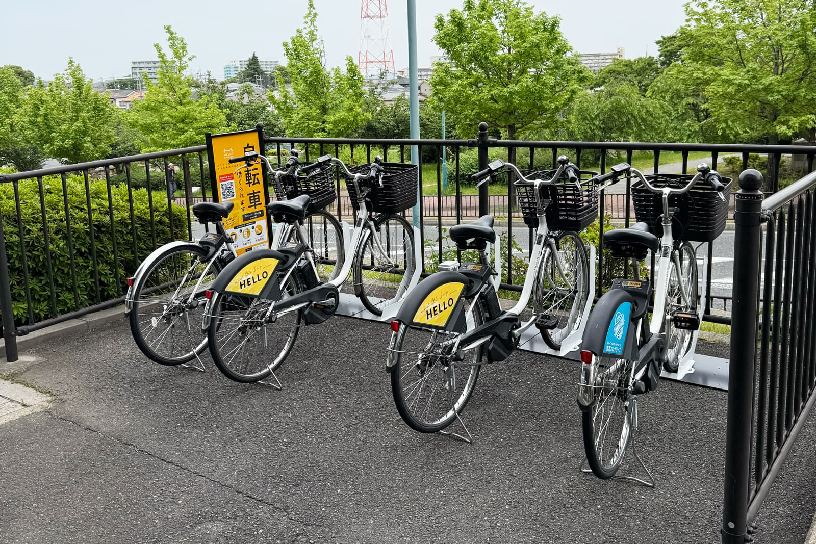 枚方で 気軽に、自由に、HELLO CYCLING！
