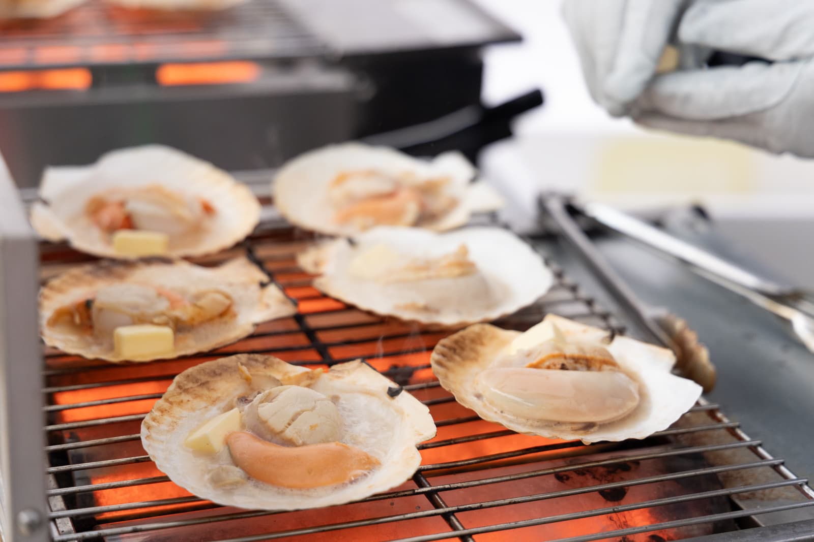 〈11/22(土)・23(日) ＠ニッペパーク岡東中央〉