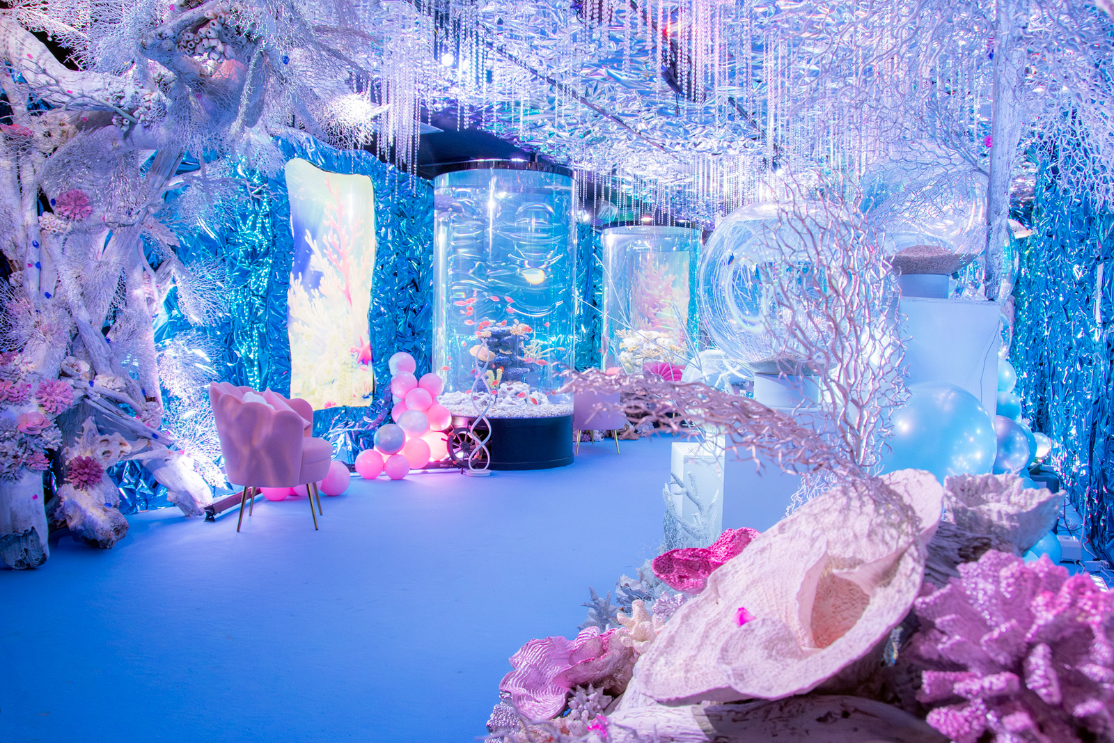 100種類の水生物に出会える宇宙旅行！