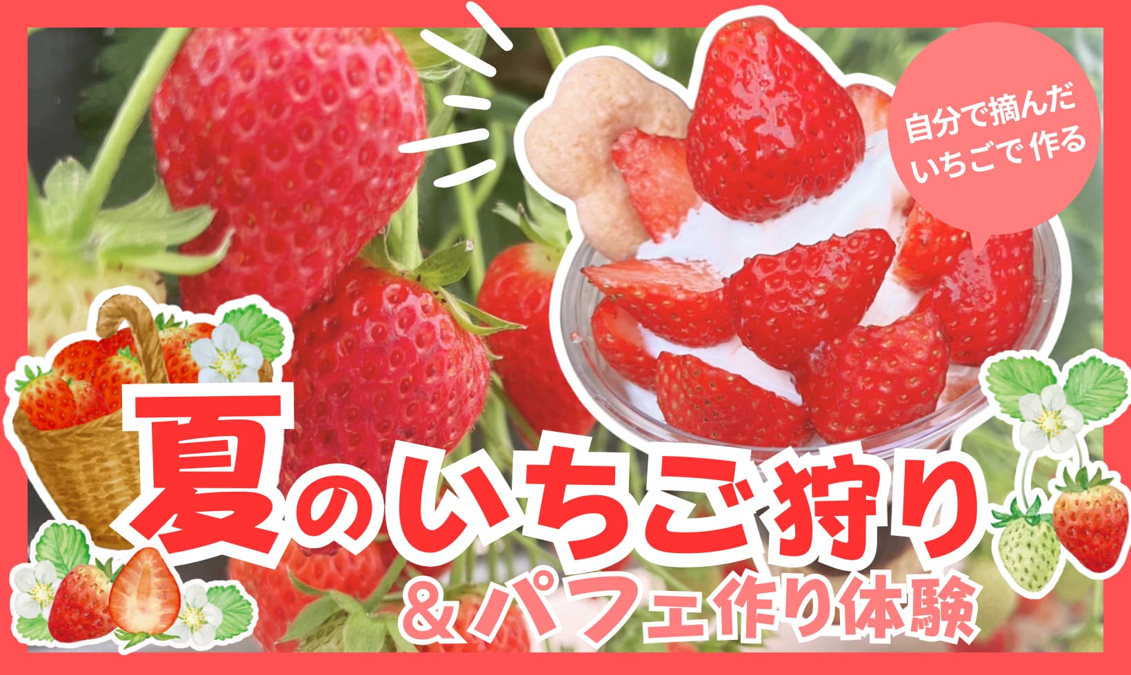 夏にも楽しむいちご狩り！おさぜん農園「夏のいちご狩り＆パフェ作り