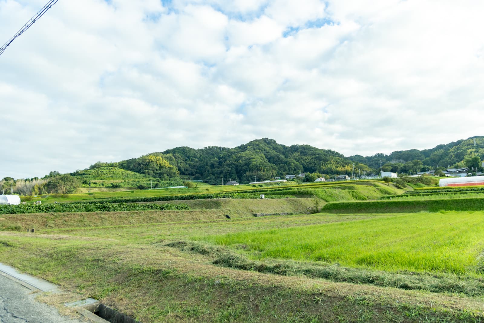 穂谷の里山の自然を味わい、体験する