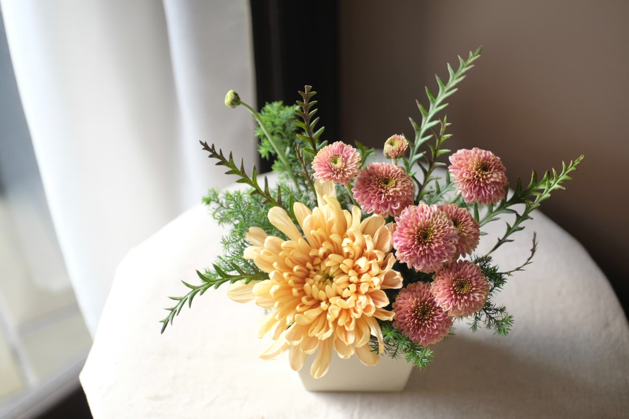 枚方の花「菊」を楽しもう〈11/8(日)〉